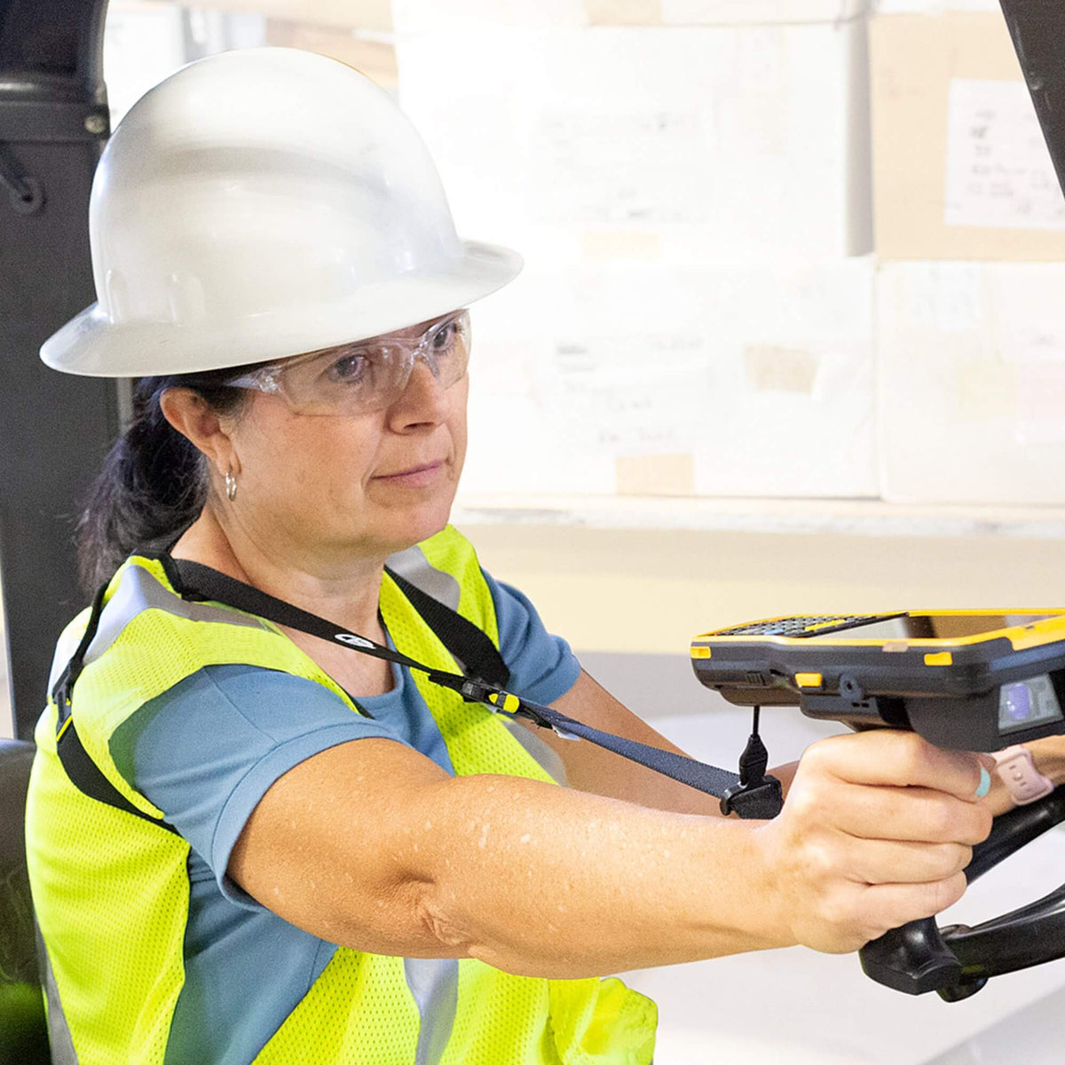 Harnais simple - élastique